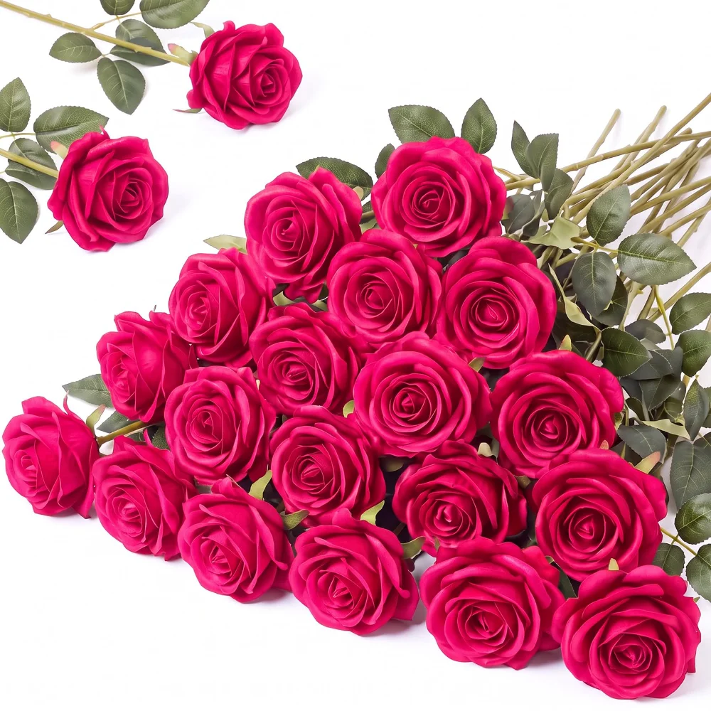 Long-Stem Roses, 20 pcs, Hot Pink